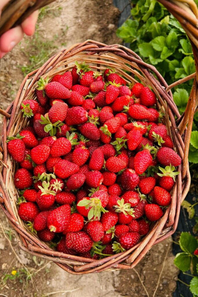 Food and Culinary Spring Date Ideas for Couples