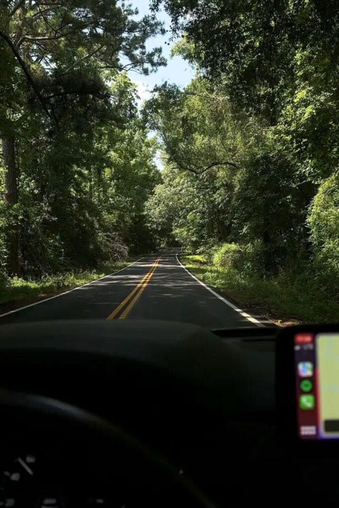 Active and Playful Spring Date Ideas for Couples